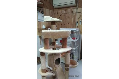 花輪範子ブリーダーの詳細